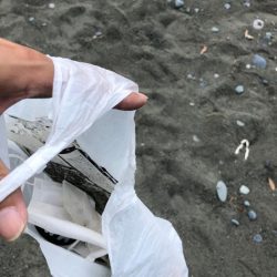 清掃活動：ちっさいショゴちゃん