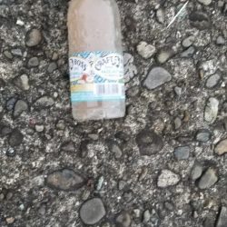 清掃活動：エギング～　