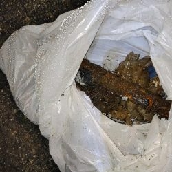 清掃活動：タコ@南港