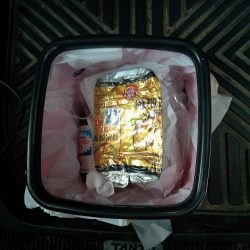 清掃活動：アジング