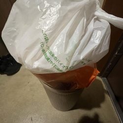 清掃活動：豆アジ