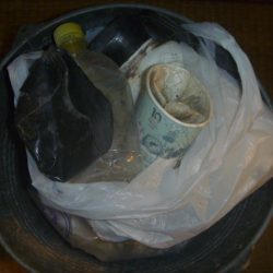 清掃活動：初夏バス