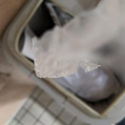 清掃活動：小サバ