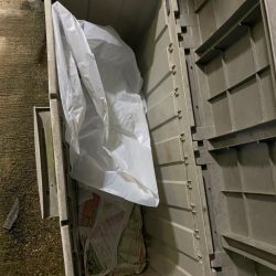 清掃活動：キス釣り、アジ釣り