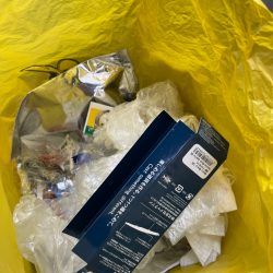 清掃活動：最高記録10匹