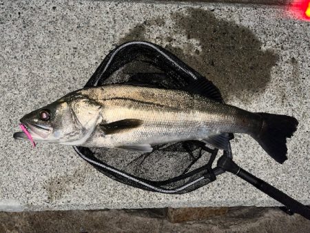 ドラマ再び・・・