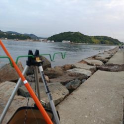 ふぐにヤられた^^;