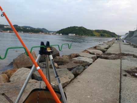 ふぐにヤられた^^;