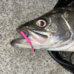 ドラマ再び・・・