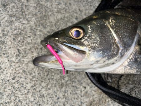 ドラマ再び・・・