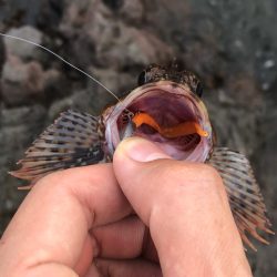 初夏のゴロタゲーム開幕!!