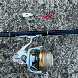 播磨のタコ事情