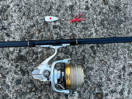 播磨のタコ事情