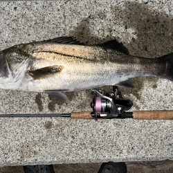 ドラマ再び・・・