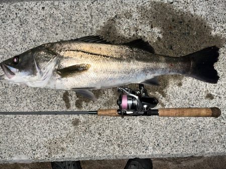 ドラマ再び・・・