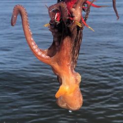 待望のキロアップ!