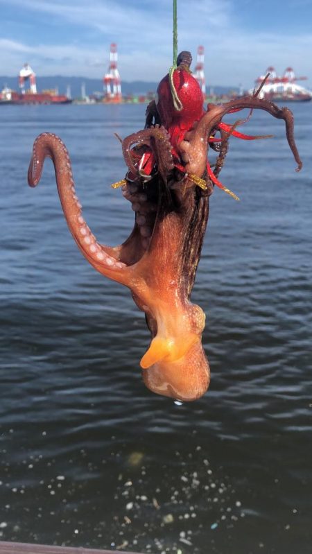 待望のキロアップ!