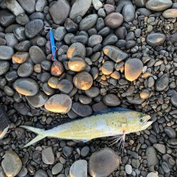 煙樹ヶ浜のショアジギ