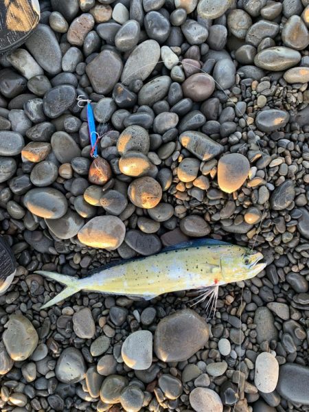 煙樹ヶ浜のショアジギ