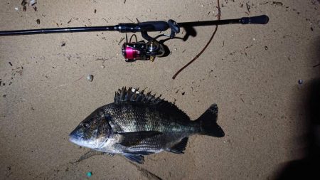 芦屋浜ナイトゲームでチヌ