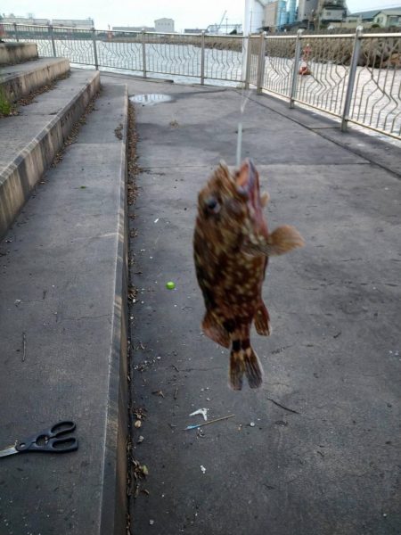 アナゴが釣りたくて