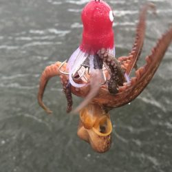 長潮のシーサイド