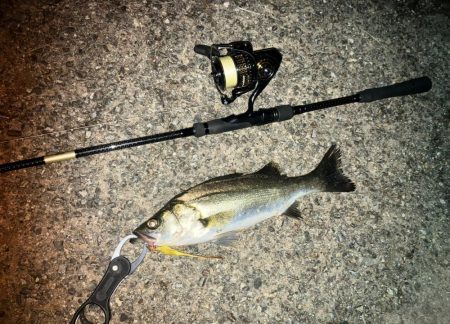 チーバスでした。