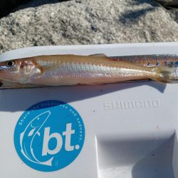 最後に帳尻合わせ