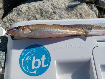 最後に帳尻合わせ