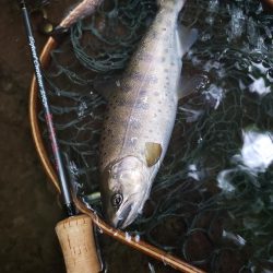 台風に期待するも全く降ってなかった
