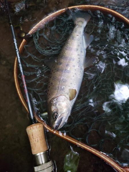 台風に期待するも全く降ってなかった
