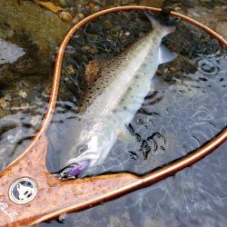 1センチ足りませんでした