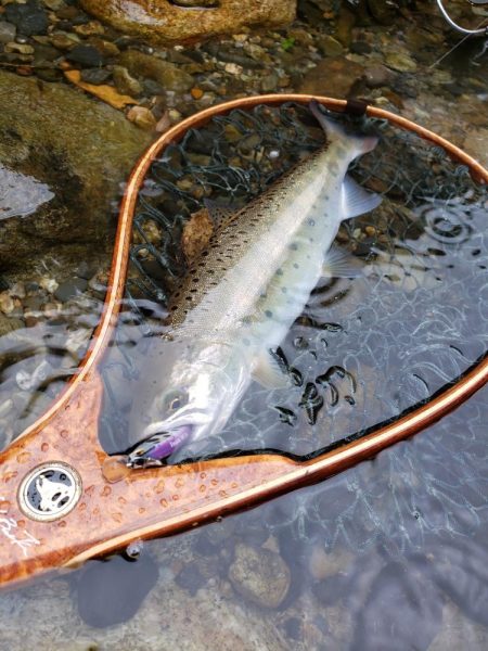 1センチ足りませんでした