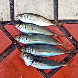 もうすぐなつやすみ♪