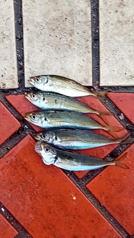 もうすぐなつやすみ♪