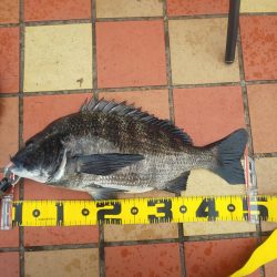 大雨後、初釣果