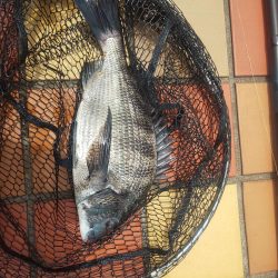 1時間　～辰巳橋～