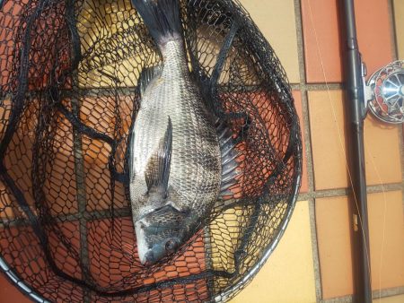 1時間　～辰巳橋～