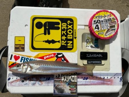 暑さに負けずキスも高活性でした