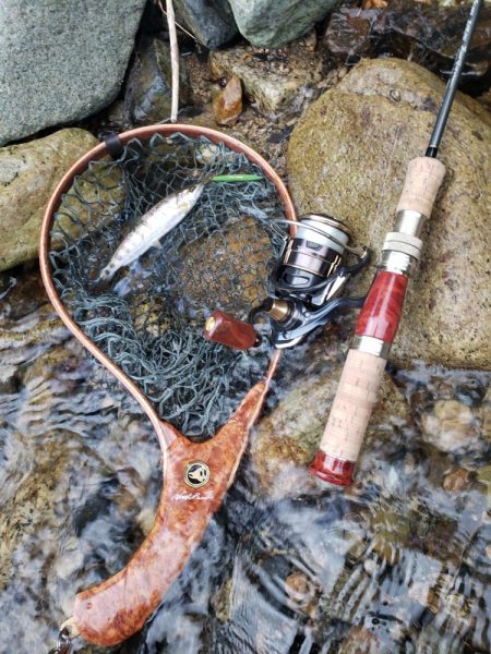 今日もチビッ子