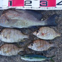 上げ８～９分で一気に