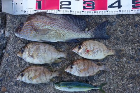 上げ８～９分で一気に