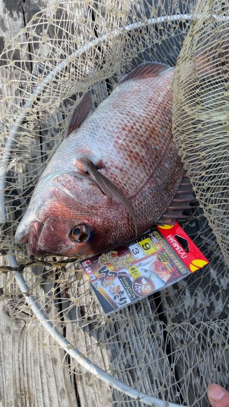 初めてのクエGET!