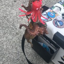 シーサイドでタコ釣り