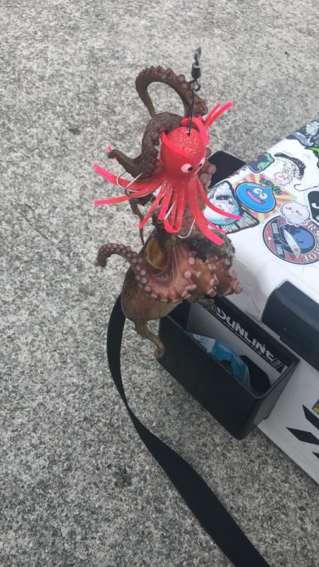 シーサイドでタコ釣り