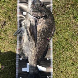 2日連続60枚越え‼️