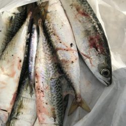 ひと回り大きくなって