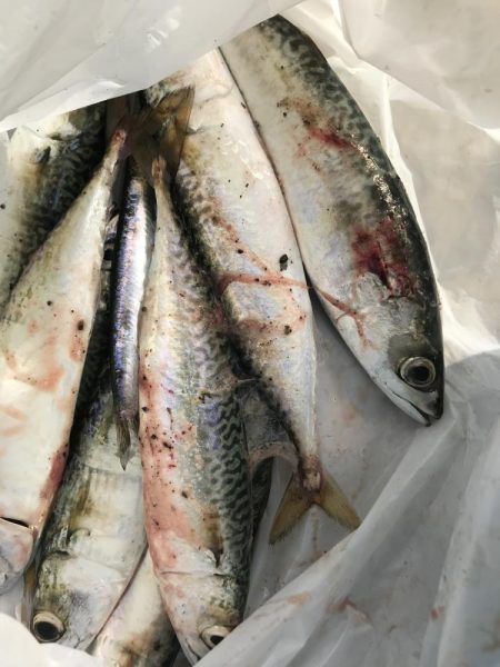 ひと回り大きくなって