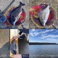 尼P オーランド大会