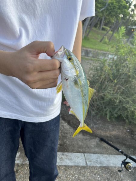 やっぱり阪神高速舞洲サバ線か！